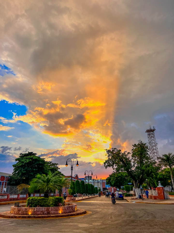 Descripción de la imagen